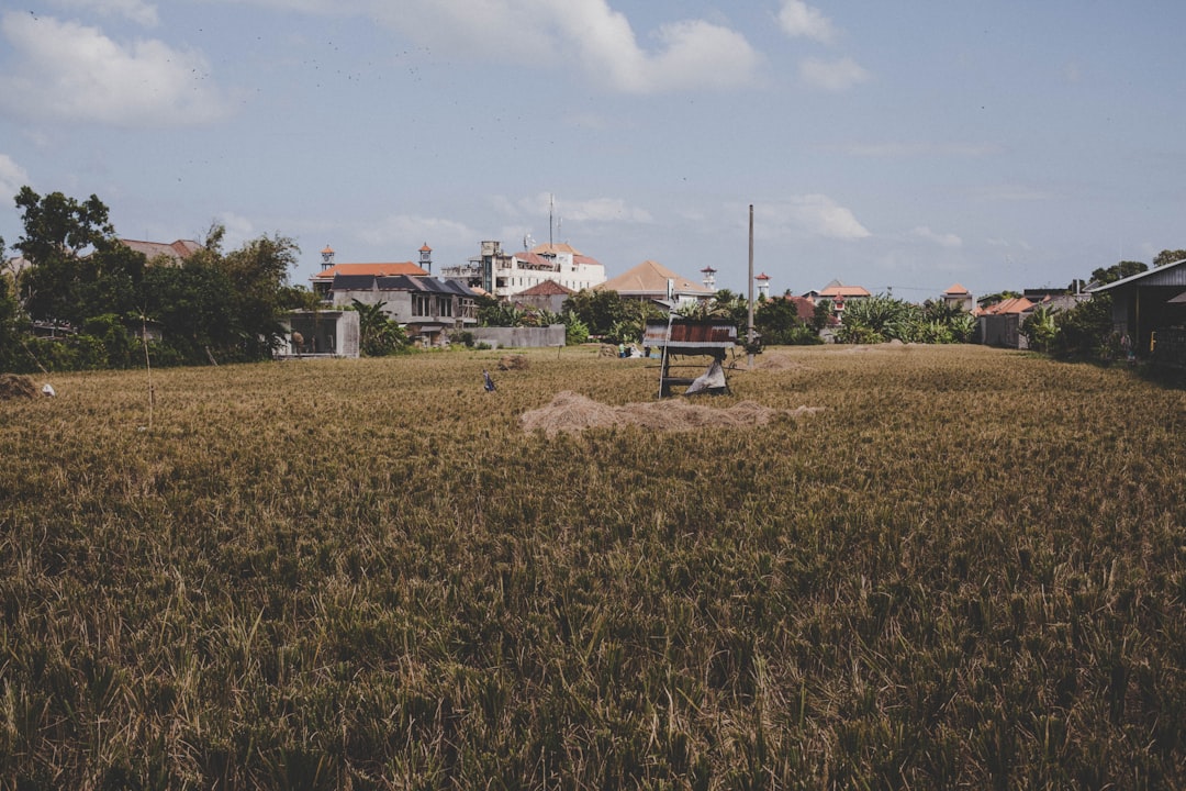 Bali